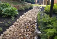 Pager Link for Deco river rock creek bed through landscape, Ferns & Fatsia