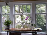 Window Gallery