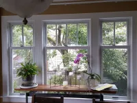 Window Gallery
