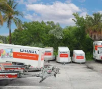 a dog walking on a road with a group of white trucks