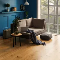 Cozy living room with beige sofa, blue accent wall, large window, wooden floor, and decorative plants and cushions.