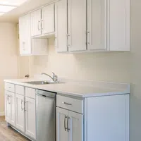 Modern kitchen with white cabinets, stainless steel sink and dishwasher, and wood flooring.