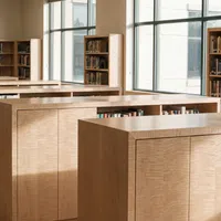 Modern library interior with natural light, wooden bookshelves, and neatly arranged books on multiple shelves.