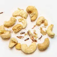 pantry pests around nuts