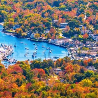 a body of water with boats in it and trees around it