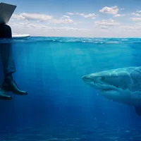 The Most Dangerous Risks in Your Business Don't Swim on the Surface