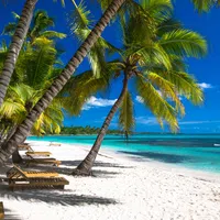 Tropical beach with white sand, leaning palm trees, wooden lounge chairs, and clear turquoise ocean under blue sky.