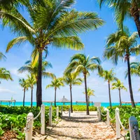 Sandy path lined with palm trees leading to a tropical beach with turquoise ocean and thatched umbrellas.