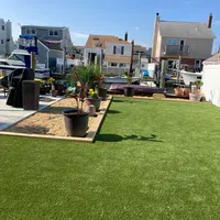 a yard with a few plants and a few buildings