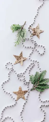 Silver beaded garland with green pine sprigs and natural bark stars on a white background.