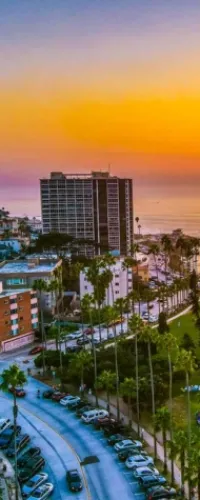 Curved coastal road lined with parked cars and palm trees against a sunset sky and city buildings near the ocean