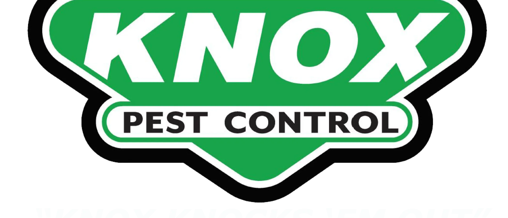 TopNotch Marketing Services for Your Brand Safeguard Service