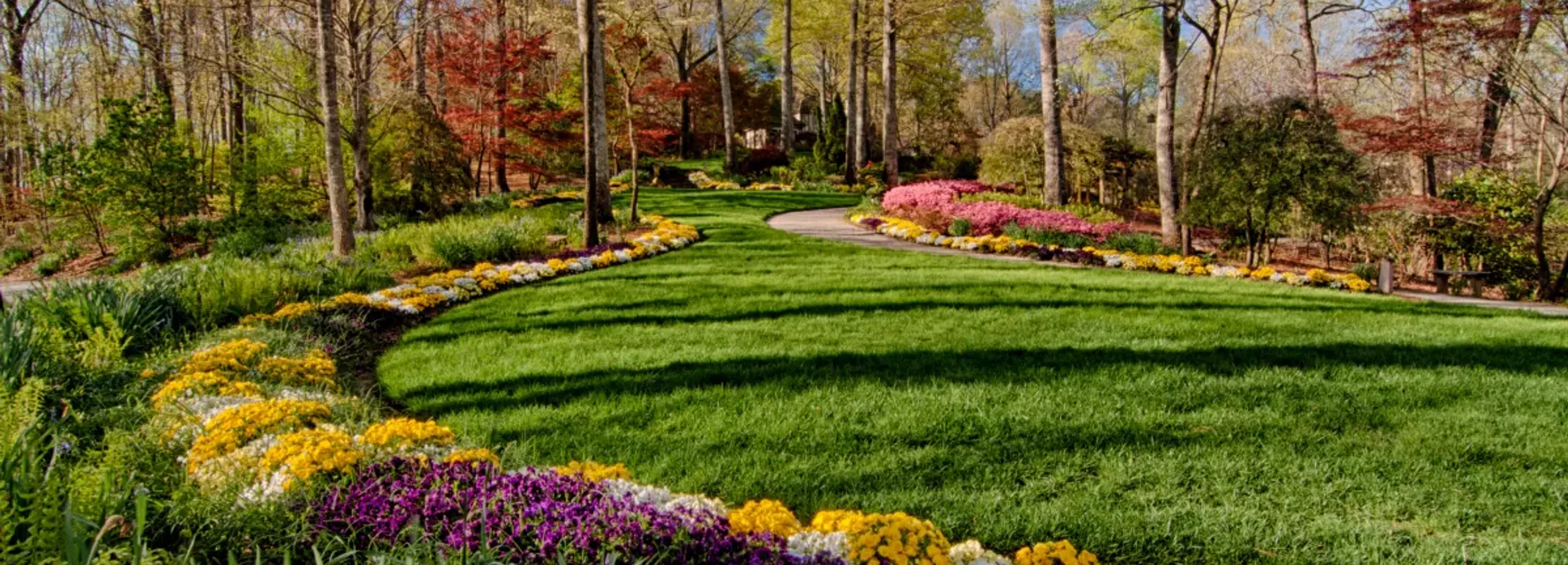 Curved flower beds with yellow, purple, and pink blooms border a green lawn surrounded by tall trees in a park.