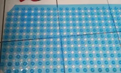 Thumbnail control image for Blue bath mat with suction cups on tiled floor next to a red brush and tattooed knees.