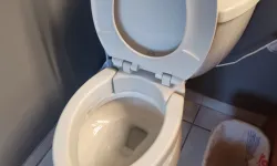 Thumbnail control image for toilet cleaned by house cleaning professionals MaidPro Orland Park