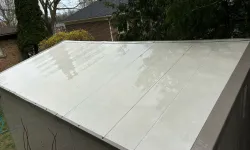 Thumbnail control image for Glossy light gray metal shed roof with visible screws and reflections of surrounding trees and sky.