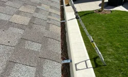 Thumbnail control image for Ladder leaning against gutter filled with pine needles alongside rooftop with solar panels on house in background.