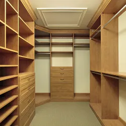 custom closet with shelves