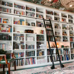 a room with shelves of books with a black ladder