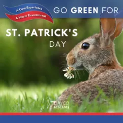 Go Green for St. Patrick’s Day with These HVAC Tips!