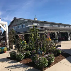 San Juan Capistrano
