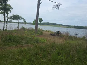 Lake view with grassy shore, trees, and a rusty old vehicle under a cloudy sky.