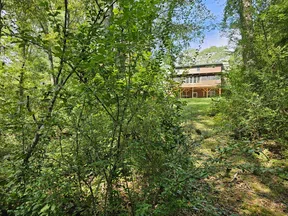 Wooden house elevated on stilts surrounded by dense green forest and under a clear blue sky.