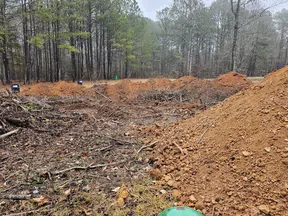 Cleared forest ground with piles of excavated red soil and scattered branches surrounded by pine trees in the background.