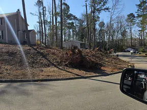 Cleared hillside with uprooted tree and houses in a residential neighborhood on a sunny day.