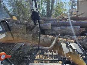 Loader attachment lifting large cut logs in a wooded outdoor area with sunlight filtering through trees.