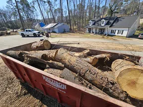 Large red dumpster filled with cut tree logs in front of residential houses and a white truck parked nearby.