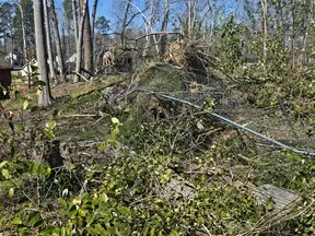 Uprooted tree and damaged chain-link fence in a wooded backyard area on a clear day.