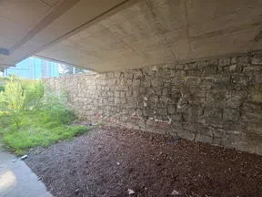 Underpass area with stone wall, graffiti, dry leaves on the ground, green plants and city buildings in background