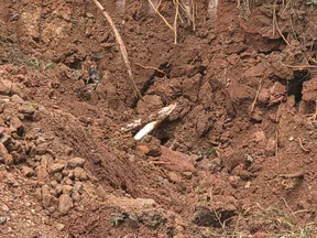 Exposed soil layer with tree roots, grass on top, and a white knife handle partially buried in earth.