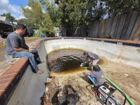 Three men working to pump out dirty water from an empty backyard swimming pool on a sunny day.