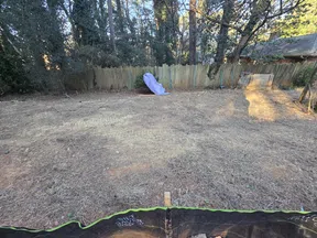 Cleared backyard with bare soil, surrounded by wooden fence and tall trees under natural daylight.