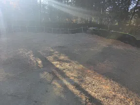 Sunlight illuminates a cleared, fenced yard with dry grass and surrounding tall trees in the background