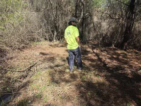 Man in neon green shirt and cap standing in dry wooded area with scattered pine needles and sparse vegetation