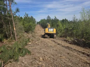 Yellow CAT excavator clearing a dirt path through a dense green forest under a blue sky.