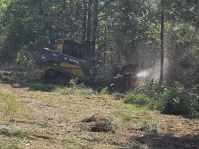 Yellow and black John Deere skid steer clearing brush and small trees in a sunny wooded area.