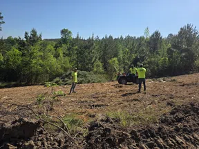 Three workers in neon shirts on a cleared forest area with pine trees and an ATV under clear blue sky.