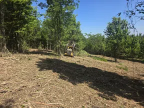 Clearing a wooded area with a skid steer and brush cutter under clear blue sky during daytime.