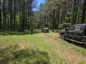 Workers and equipment clearing a grassy forest area under a sunny blue sky.
