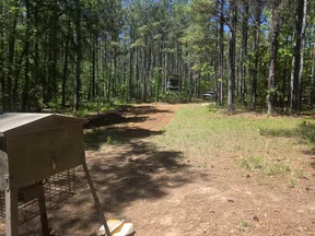 Wooded outdoor area with a metal animal feeder, hunting blind, and a pickup truck in a clearing under blue sky