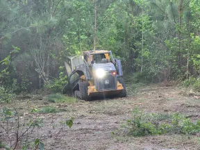 Yellow John Deere skid steer clearing brush in a forest with trees and undergrowth in background.