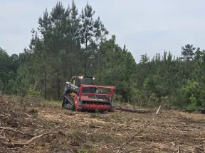 Tracked forestry mulcher clearing brush and debris in a forested area with pine trees in the background