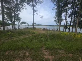 Grassy lakeside clearing with tall trees, wildflowers, and calm water under a cloudy sky