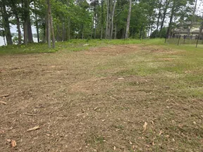 Cleared grassy backyard area with some dirt patches, surrounded by trees and a lake in the distance.