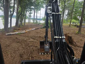 Excavator clearing dirt and fallen trees near lakeside in a wooded area under cloudy sky