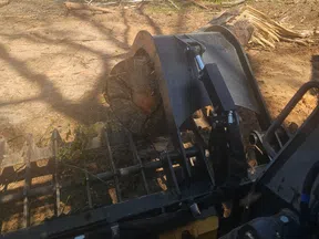 Heavy machinery lifting large tree logs in a clearing with fallen branches and blue sky background.